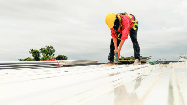 Best Gutter Installation and Repair  in Grant City, MO
