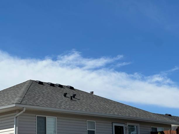 Best Asphalt Shingles Roofing  in Grant City, MO